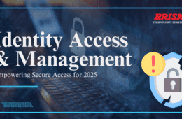 Identity Access and Management (IAM) – Empowering Secure Access for 2025